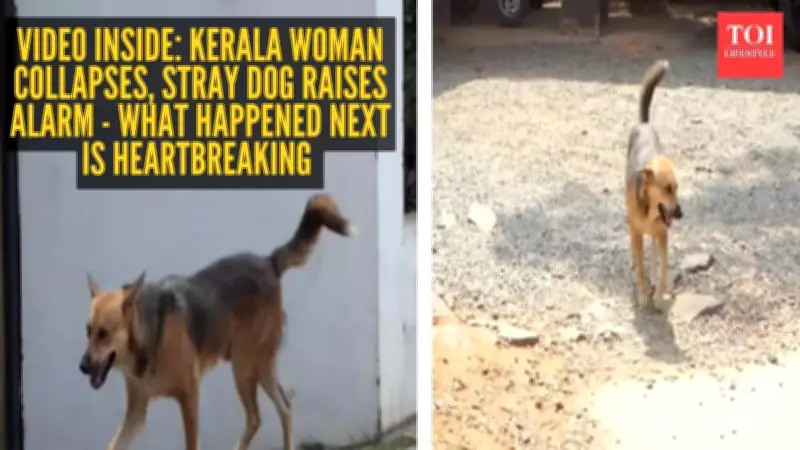 Kerala Woman's Bond with Street Dog Moves Community After Her Death
