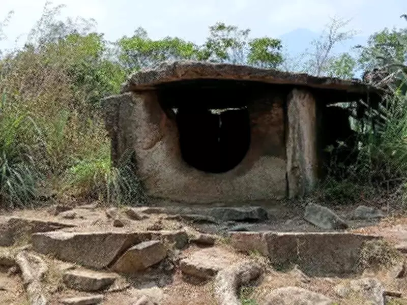 Kerala's Ancient Muniyara Dolmens Face Neglect and Vandalism in Idukki