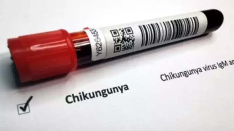 Kerala's Ernakulam Reports Chikungunya Cases, Health Surveillance Ramped Up