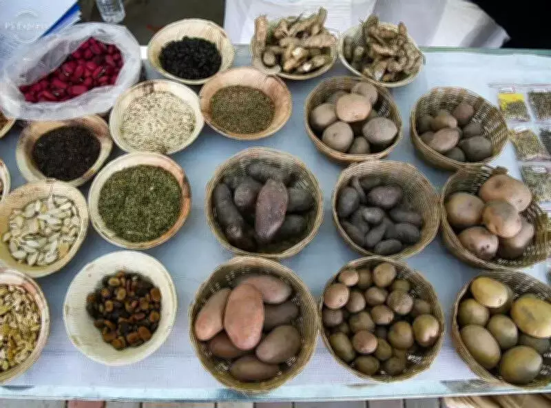 Kheti Virasat Mission Launches 'Beej Virasat Kendra' Seed Bank in Punjab's Faridkot