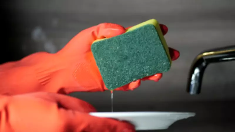 Kitchen Sponge Cancer Myth Debunked: Expert Reveals Real Risks and Simple Solutions