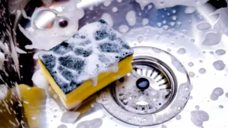 Kitchen Sponge Danger: Why Wet Sponges Breed Pathogens and When to Replace