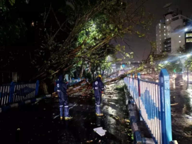 Kolkata and Dum Dum Struck by Twin Squalls, Disrupting Flights and Uprooting Trees
