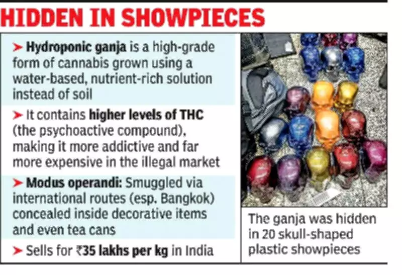 Kolkata Customs Seize Rs 3.5 Crore Hydroponic Ganja Hidden in Skull Decor