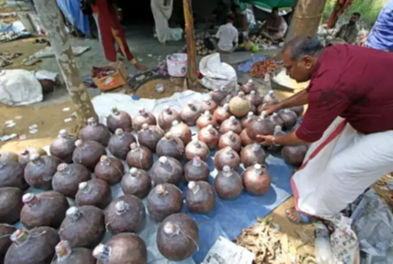 KSSP Urges Kerala Govt to Ban Gunpowder Fireworks After Tragic Blaze