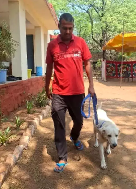 Labrador 'Boss' Shines at National Police Meet with Murder-Solving Skills