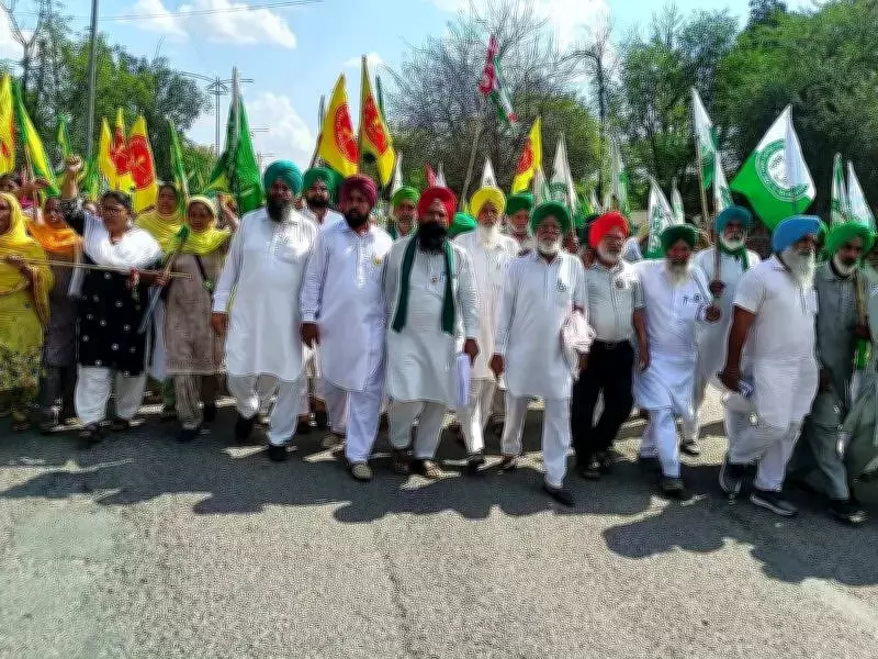 Large Landowners in Bathinda Waive Lease, Offer Aid to Storm-Hit Small Farmers