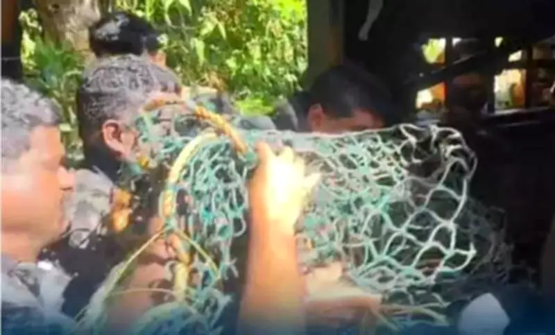 Leopard Dies After Capture in Wayanad, NGO Alleges Protocol Violation