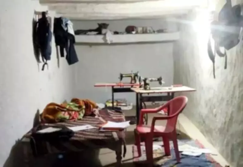 Leopard Perches Like Toy in Chhattisgarh Home, Sparks Village Panic and Rescue