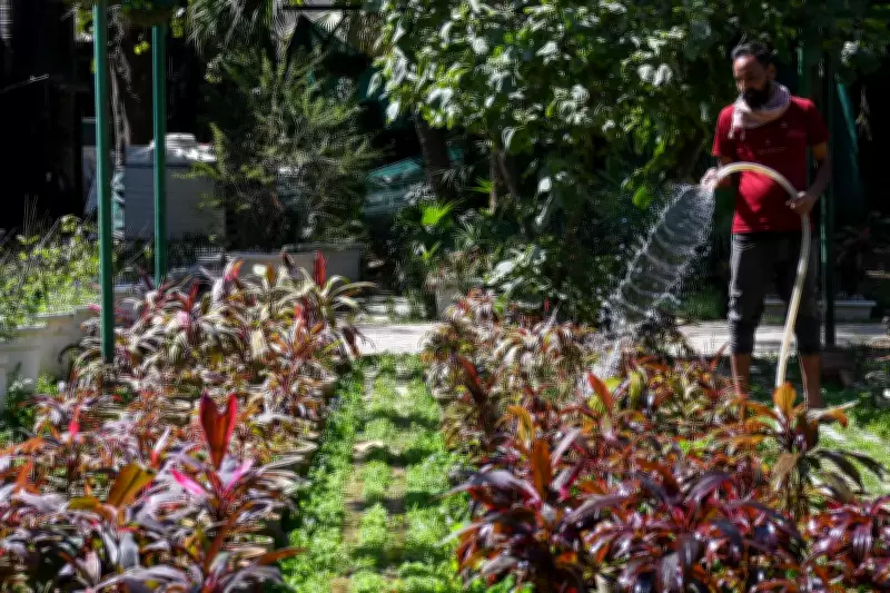 Lodhi Garden at 90: The Unsung Gardeners Behind Delhi's Historic Oasis