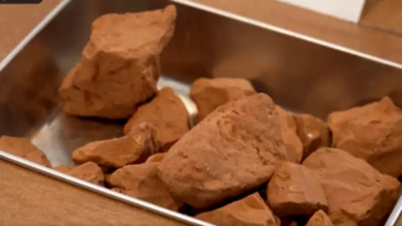 London's Museum of Edible Earth Invites Visitors to Taste Soil in Unique Exhibition