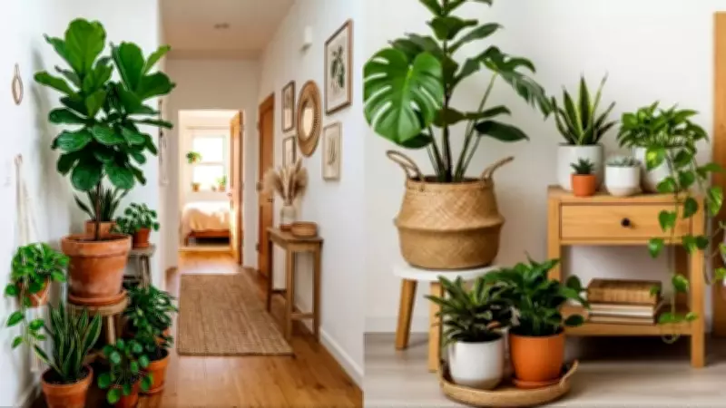 Low-Light Houseplants Thrive in UK Homes in 2026, Boosting Wellbeing and Decor