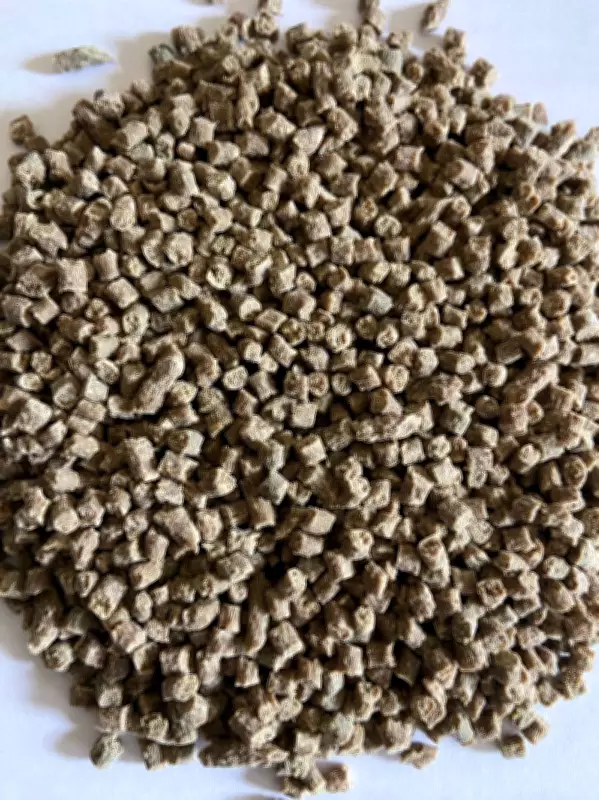 Ludhiana Agri University Innovates Biodegradable Material from Paddy Straw