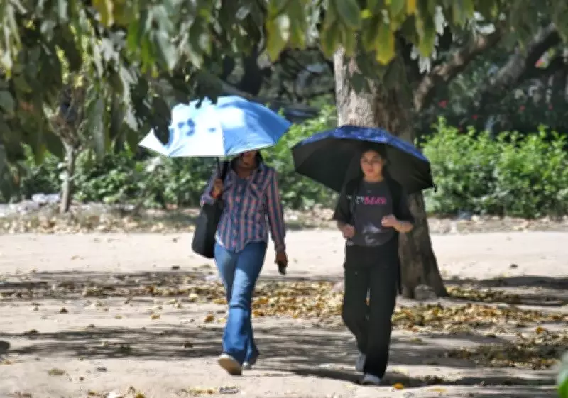 Ludhiana Health Officials Issue Heatwave Alert as Temperatures Soar Near 40°C