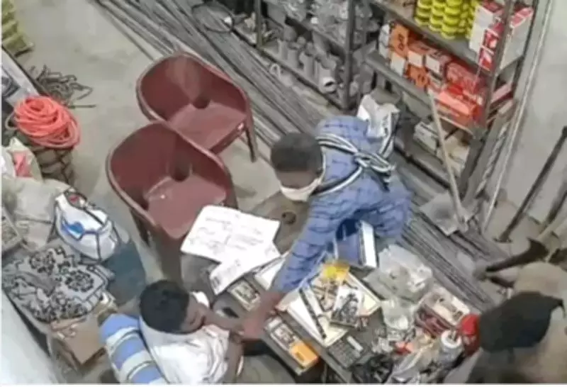 Ludhiana Shopkeeper's Son Bravely Confronts Armed Robbers During Snatching Attempt