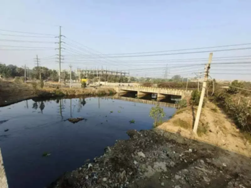 Ludhiana's Water Plus Certification Bid Faces Public Backlash Over Process and Preparedness