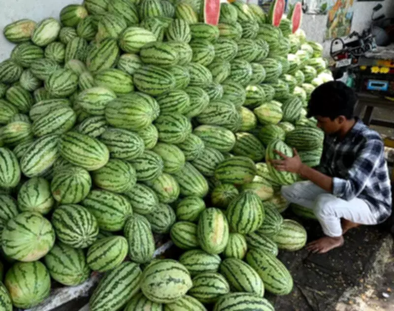 Madurai's Summer Heat and Election Campaigns Fuel Demand for Seasonal Refreshments