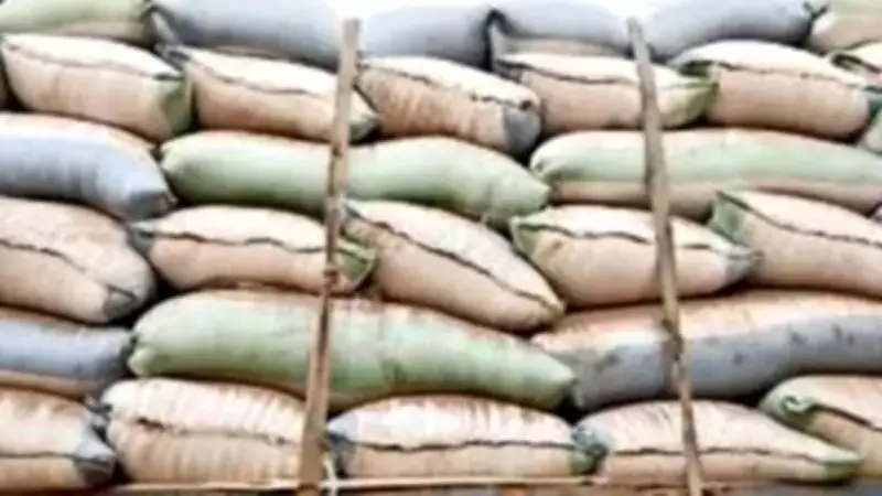 Maharashtra Caps Agricultural Sack Weight at 50 kg for Worker Safety