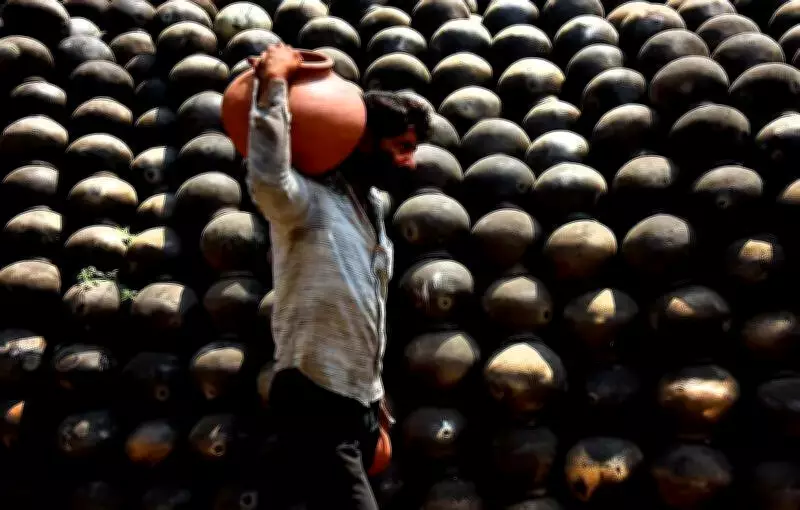 Maharashtra Heat Wave Hits Vegetable Crops, Prices May Rise