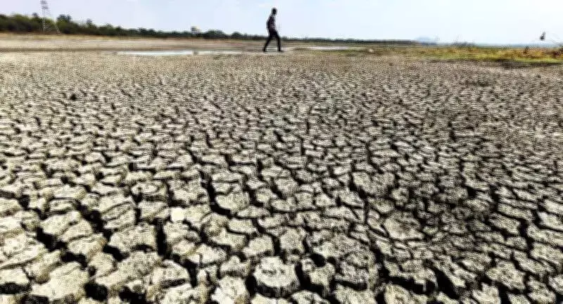 Maharashtra Heatwave Claims Fourth Farmer, 39 Suspected Heatstroke Cases Reported