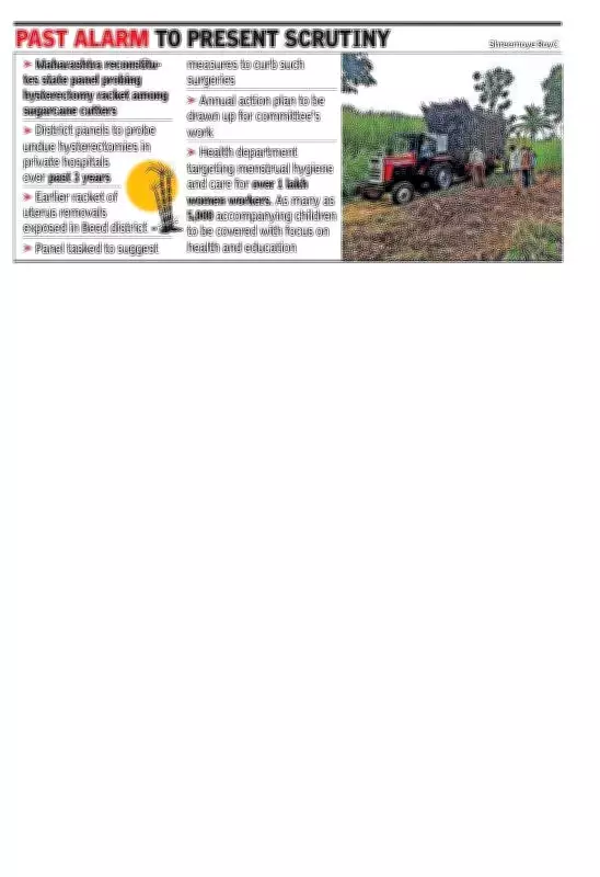 Maharashtra Reforms Panel to Probe Unnecessary Hysterectomies in Female Sugar Cane Cutters