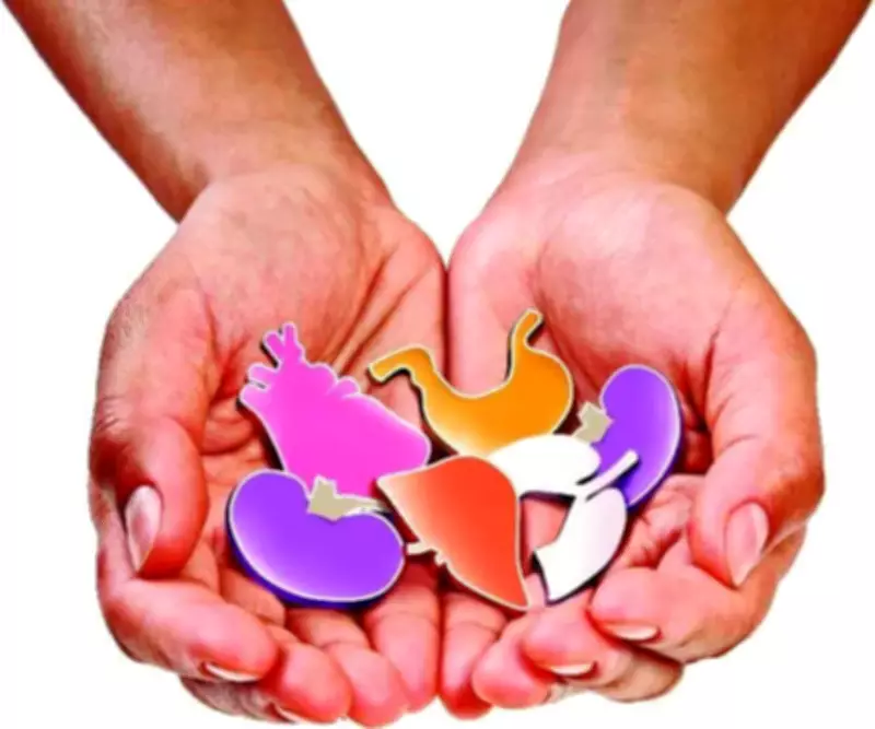 Maharashtra Removes Financial Barrier for Organ Transplants with New Corpus Fund