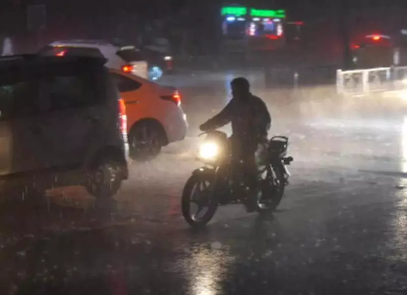 Maharashtra Unseasonal Rains Claim Four Lives, Damage Crops Across 64,573 Hectares