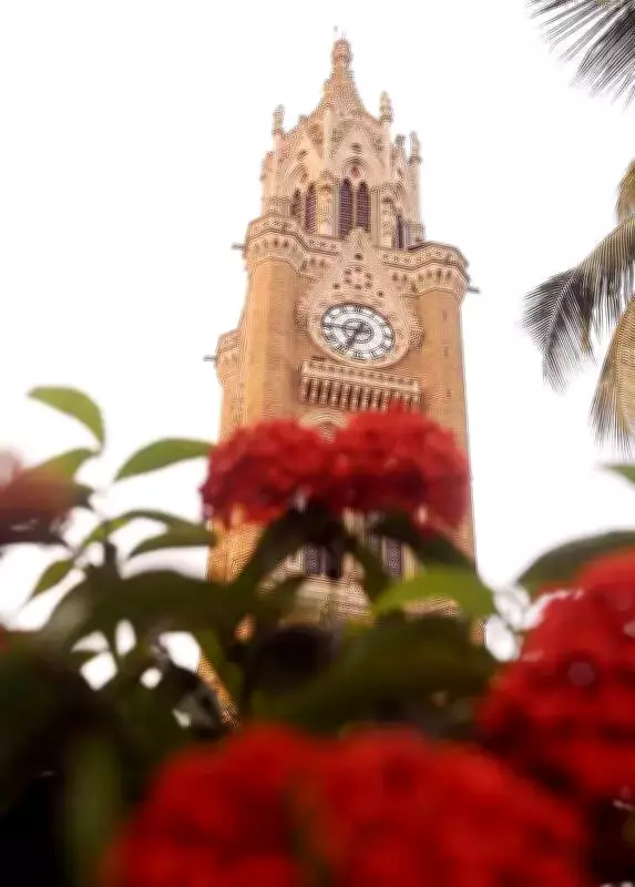 Maharashtra's Empowered Autonomy Colleges Face Joint Degree Hurdle