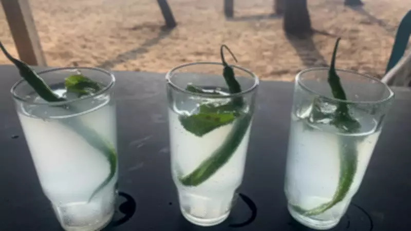 Mahua and Goan Feni Enter UK Market, Boosting Indian Heritage Spirits