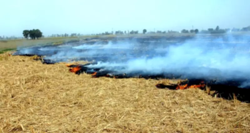 Major Fire Engulfs Crop Residue Near Phagwara's Pyramid College, Jalandhar
