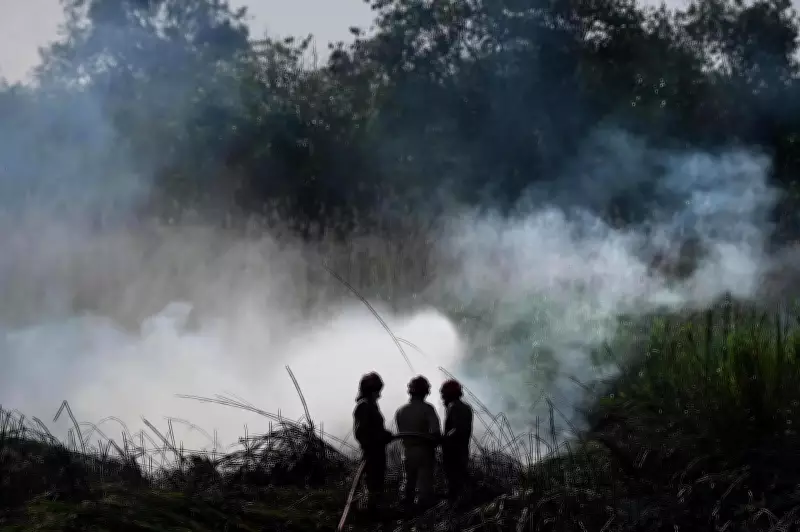 Major Forest Fire Near Delhi's Rajghat Bus Depot Engulfs 25 Acres