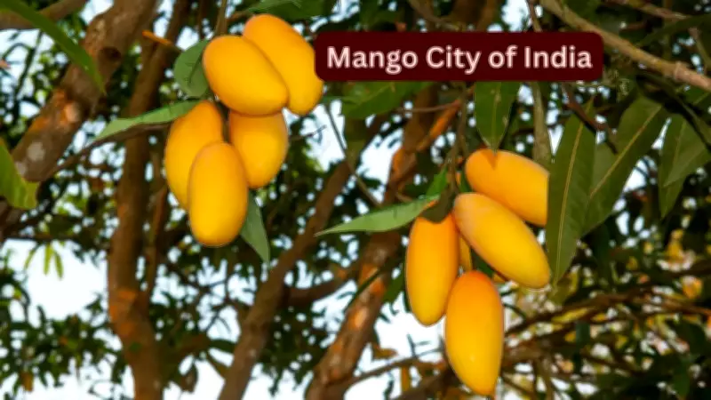 Malda: The True Mango City of India You Must Visit in May
