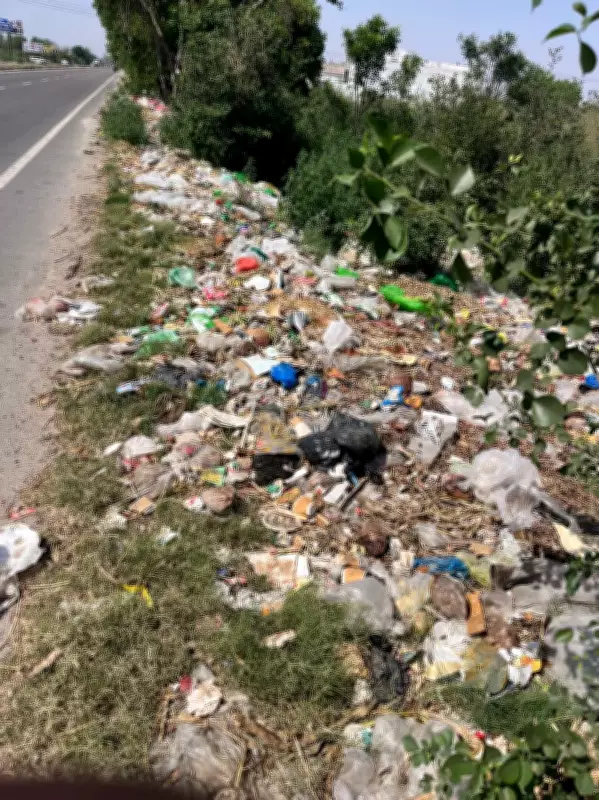 Malerkotla Grapples with Mounting Solid Waste Management Crisis