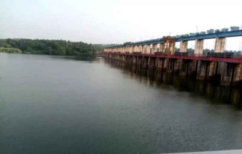 Mangaluru City Corporation Assures Stable Water Supply Despite Dam Level Dip