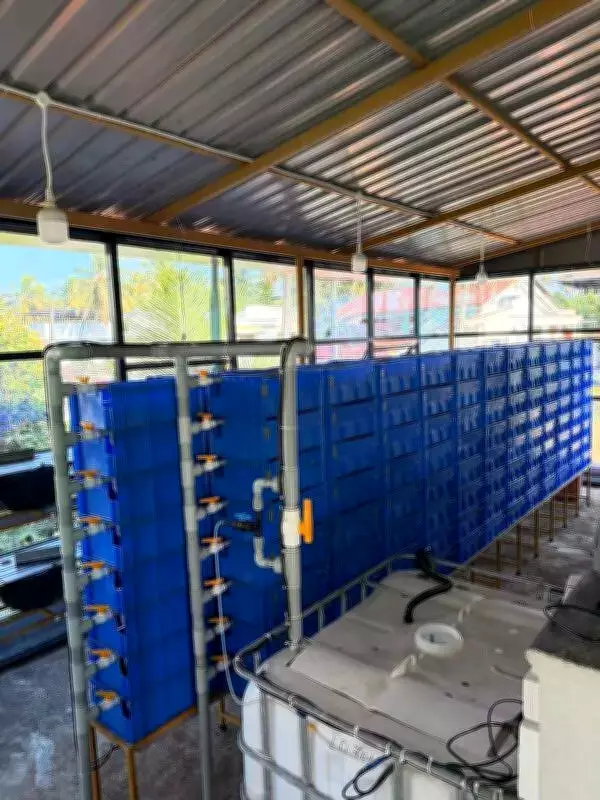 Mangaluru Entrepreneur Pioneers Mud Crab Farming with RAS Technology