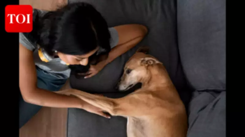 Martin Lewis Warns UK Pet Owners: Dog vs Cat Legal Liability Differs