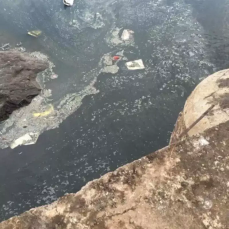 Mass Fish Deaths in Nira River Spark Outrage Over Industrial Pollution in Pune