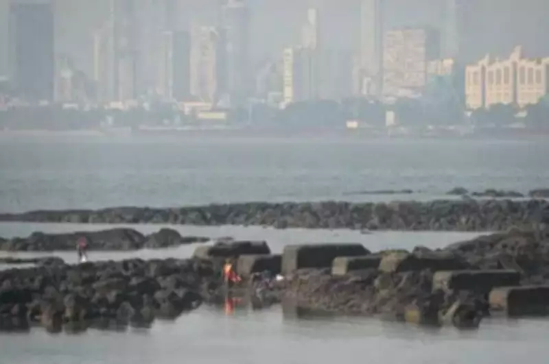 Massive Crocodile Rescued After 15-Hour Operation Near Mumbai Village