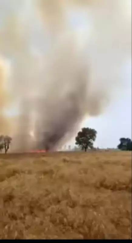 Massive Fire in Rattoke Village Burns 16 Acres of Wheat to Ashes