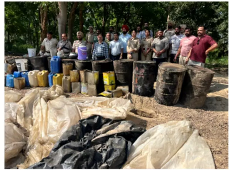 Massive Illicit Liquor Haul: 50,000 Kg Lahan Seized in Hoshiarpur District