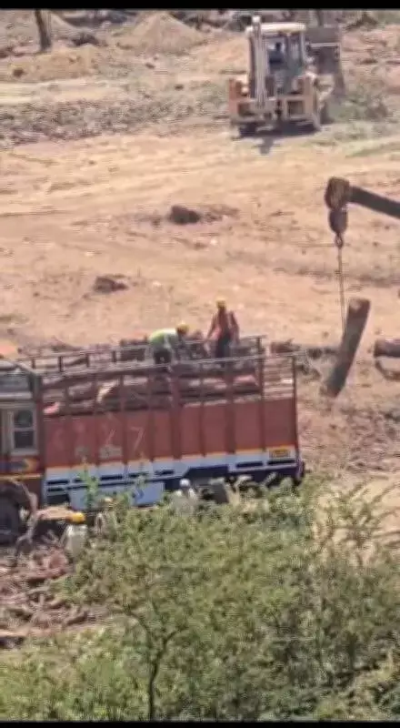 Massive Tree Felling at Vikhroli Hillside Sparks Outcry Among Environmentalists