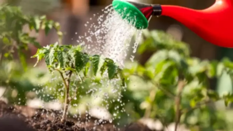 Master Summer Plant Care: 5 Essential Watering Tips to Keep Your Garden Thriving