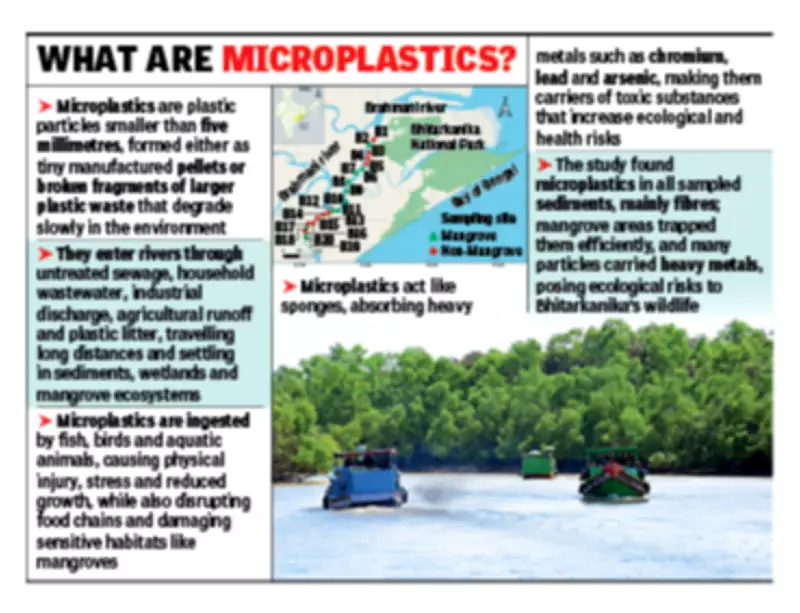 Microplastics Found in Odisha's Brahmani River Threaten Bhitarkanika Sanctuary