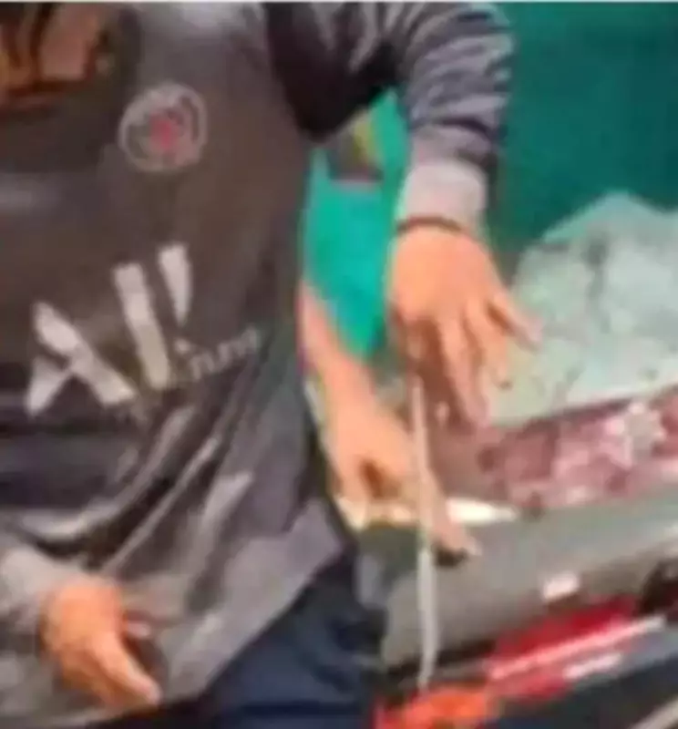 Migrant Worker in Malappuram Found With Snake in Pocket, Later Discharged