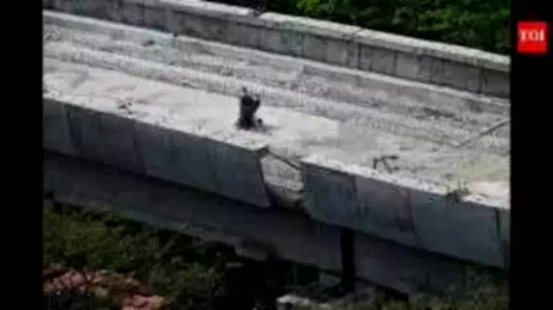 MMRDA Retains Metro Line 4 Consultant After Probe Clears Systemic Flaws