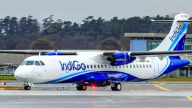 Monkey on runway forces IndiGo flight to abort take-off in Lucknow