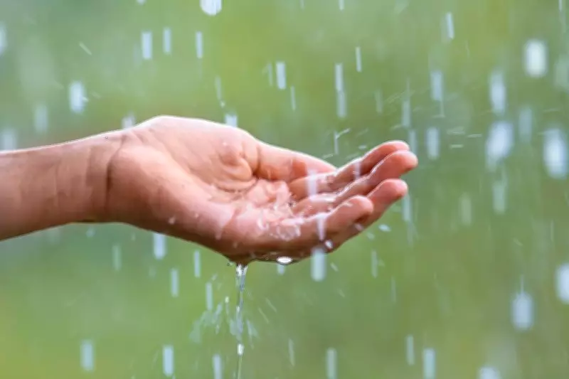 Monsoon Moisture Intensifies Lethal Heatwaves in India, New Study Reveals