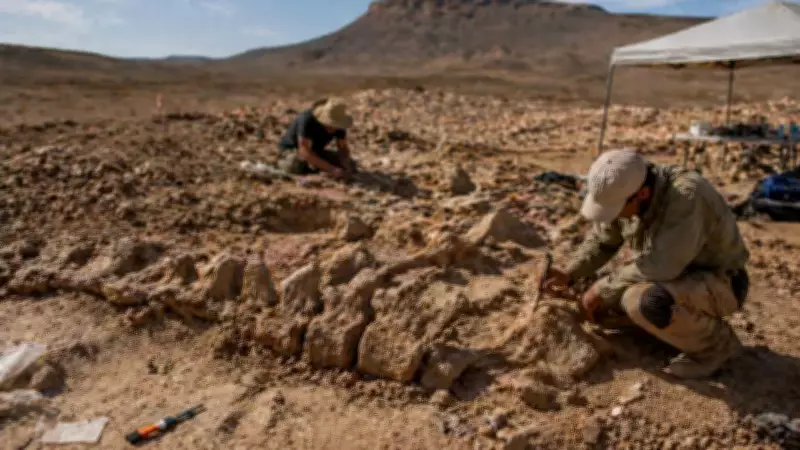 Moroccan Titanosaur Fossil Challenges Dinosaur Evolution Theories