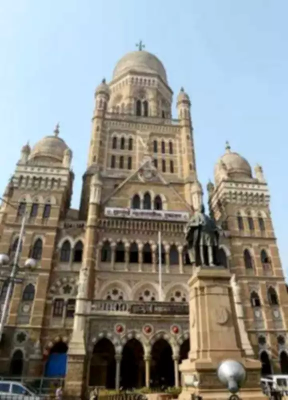 MSHRC Fines BMC Rs 1 Lakh, Orders Crematorium for Gorai, Manori, Culvem