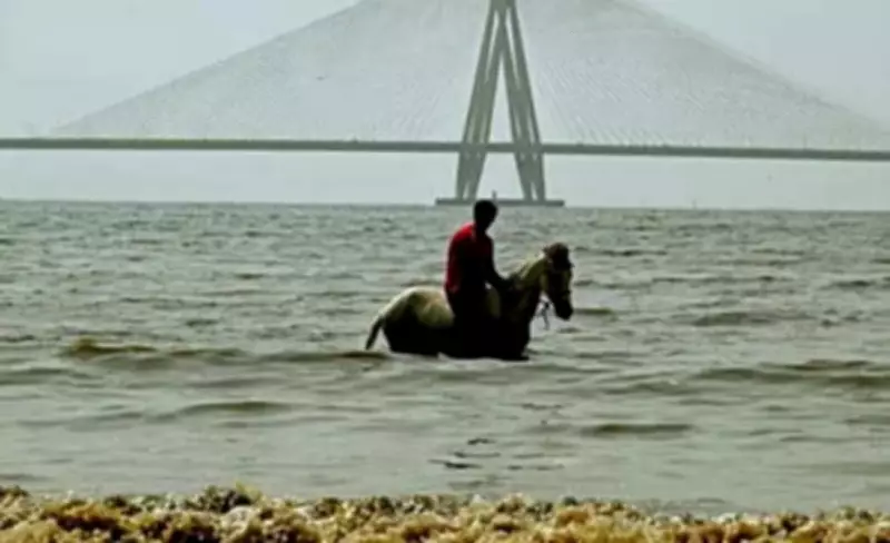 Mumbai Eastern Suburbs Swelter as Humidity Spikes, Sea Breeze Missed